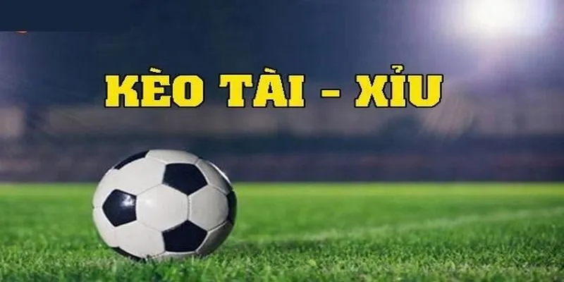 Kèo tài xỉu chung kết C1 luôn thu hút lượng người chơi đông đảo