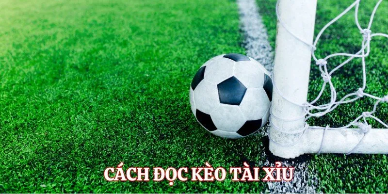 Thông tin đội tuyển đối đầu luôn cần thiết khi soi kèo tài xỉu chung kết C1