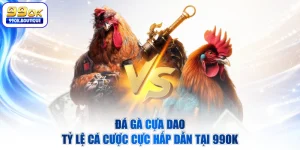 Đá Gà Cựa Dao - Tỷ Lệ Cá Cược Cực Hấp Dẫn Tại 99OK