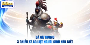 Đá Gà Thomo - 3 Chiến Kê Ác Liệt Người Chơi Nên Biết