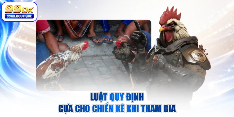 Luật quy định cựa cho chiến kê khi tham gia