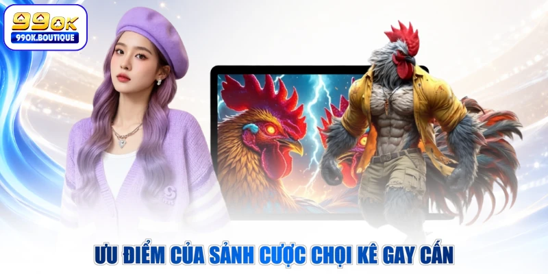 Ưu điểm của sảnh cược chọi kê gay cấn
